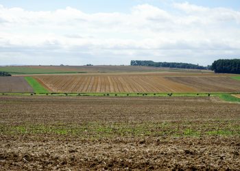 נס ציונה – גוש – 3743