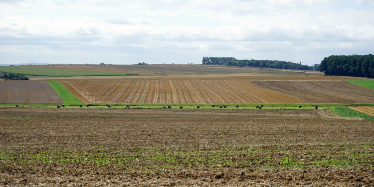 נס ציונה – גוש – 3743