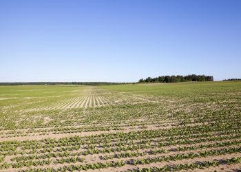 מתחם פי גלילות – גוש – 6619