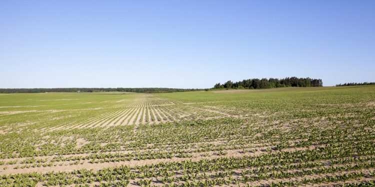 מתחם פי גלילות – גוש – 6619