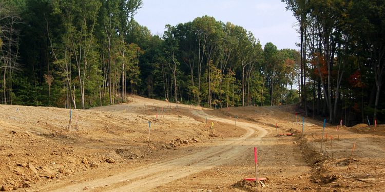 בנימינה – גוש – 10202