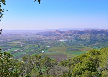 כפר תבור – גוש – 17038