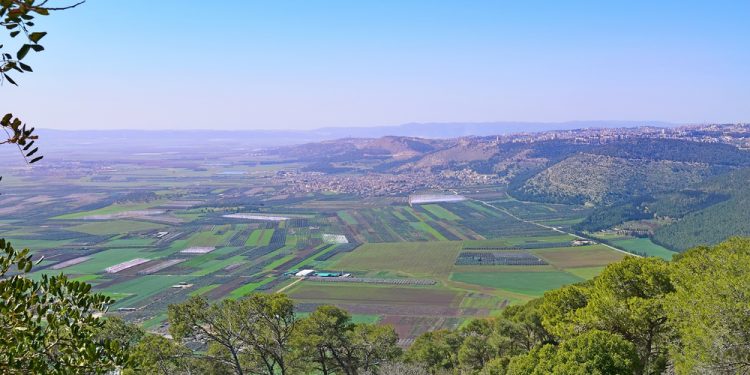 כפר תבור – גוש – 17038