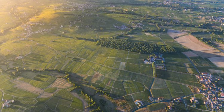 פתחיה – גוש – 3727