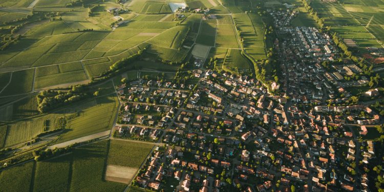 שדה ורבורג – גוש – 7676