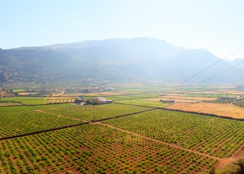 טבריה – גוש – 15083