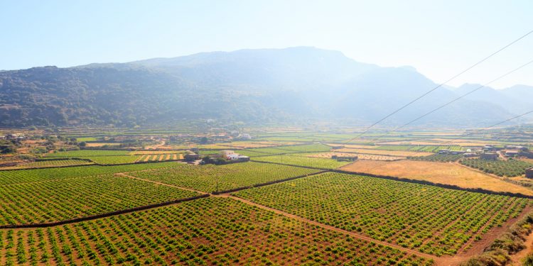 טבריה – גוש – 15083
