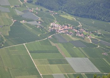 חרוצים – גוש – 7692