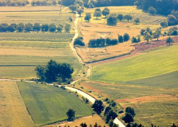 בני ציון – גוש – 7695