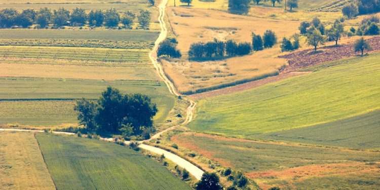 בני ציון – גוש –  7695