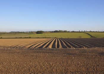 חדרה – גוש -10021