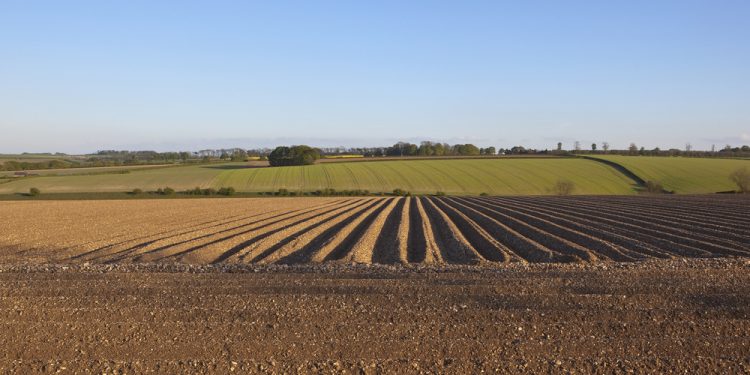 חדרה – גוש -10021