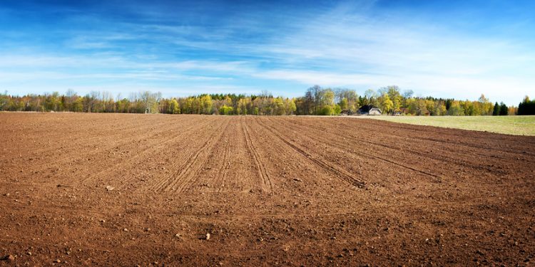 גדרה – גוש – 3865 חלקות 9-44