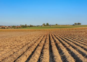 הרצליה – גוש – 6605