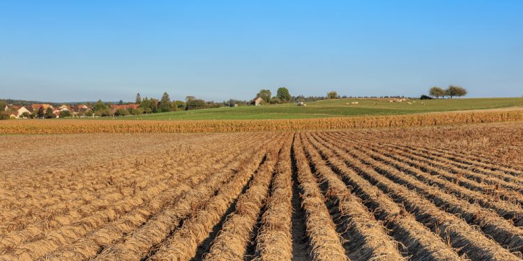 הרצליה – גוש – 6605