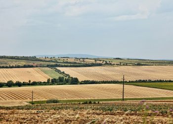 זכרון יעקב – גוש – 11295