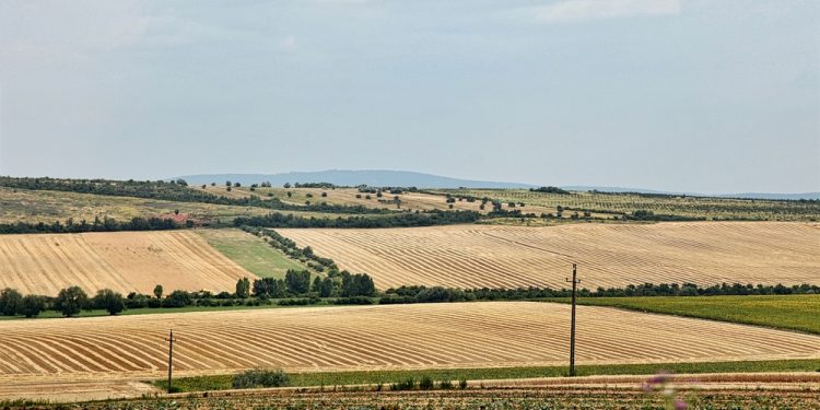 זכרון יעקב – גוש – 11295